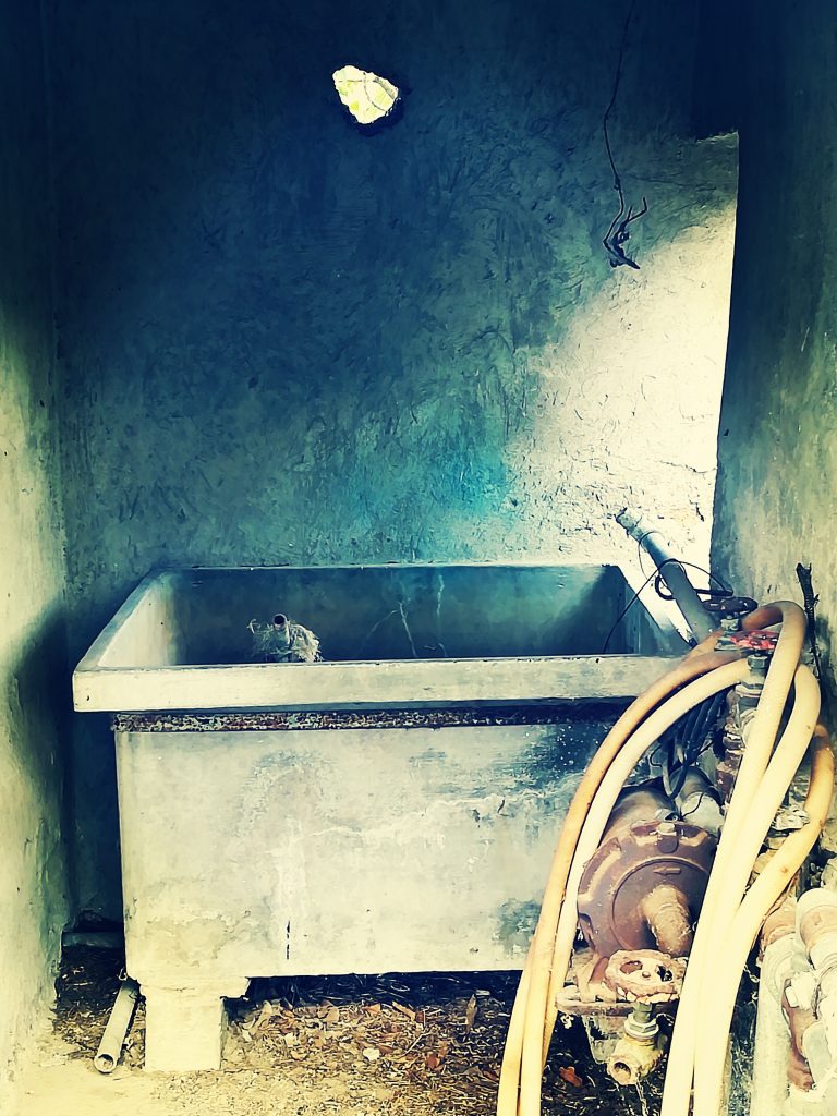 Immagine scattata da Fiammetta Palpati